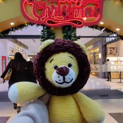 Taking my handmade lion plushie out for a Christmas adventure.