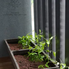 A clean shot of our custom-branded planter boxes ready for planting, set against a modern grey wall and vertical blinds.