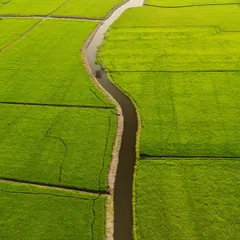 A winding river cutting through green fields, seen from directly above. This simple, elegant line in the landscape looks like a "Water Snake," part of my abstract aerial photography series.
