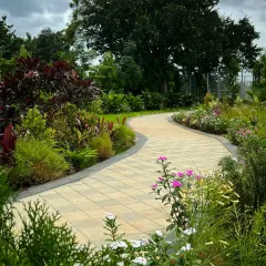 This winding garden path at Serene Exotica invites leisurely strolls, with its gentle curves revealing new views of the layered planting and mature trees at every turn.