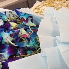 Let's preserve this! A beautiful bunch of fresh orchids ready to be dried and turned into a timeless piece of art.