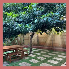 A serene seating area under a beautiful Chikoo tree. We designed the paved area with grass inserts to create a natural checkerboard pattern, making it a perfect spot for quiet contemplation or family gatherings.