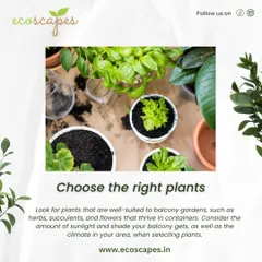 Tip: Choose the right plants for your balcony. We recommend herbs, succulents, and container-friendly flowers, and we always consider the specific sunlight and climate conditions of your space.