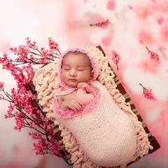 A dreamy newborn portrait with a cherry blossom theme. I use soft lighting and delicate props to create a peaceful and artistic image of your sleeping baby.