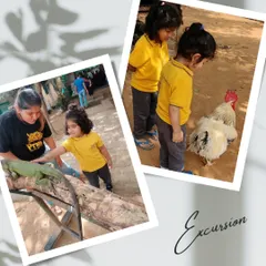 Getting up close with a rooster and an iguana. Our trips to Prani Pet Sanctuary offer incredible opportunities for children to see and learn about animals they don't encounter every day.