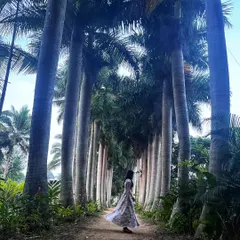 Walking through a majestic alley of palm trees. The scale and symmetry of nature often inspire patterns and compositions in my artwork.