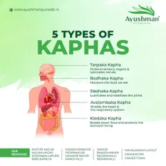 Did you know there are five types of Kapha dosha in the body, each with a unique function? This educational graphic explains Tarpaka, Bodhaka, Sleshaka, Avalambaka, and Kledaka Kapha, which govern everything from sensory perception to joint lubrication.