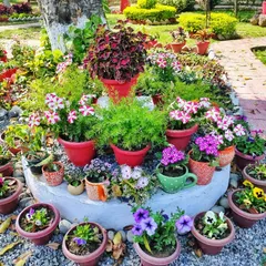 A creative garden feature using a variety of potted flowering plants like Petunias and Pansies arranged on a raised circular bed.