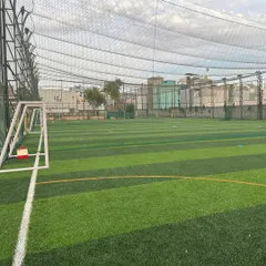 A close-up of the high-quality turf and goalpost at one of our new training centers in Gurgaon.