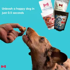 Unleash a happy dog in just 0.5 seconds with a healthy treat! My treats contain no sugar or preservatives and are made with human-grade ingredients, so you can feel good about what you're feeding your best friend.