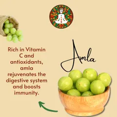 The second Sattvic food is Amla, or Indian Gooseberry. Rich in Vitamin C and antioxidants, amla rejuvenates the digestive system and provides a powerful boost to your immunity.