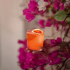 Every drink holds a memory. Here, our signature cocktail is framed by bougainvillea, a blend of bright citrus, deep spirits, and a hint of spice in perfect harmony. It’s an invitation to explore, savor, and celebrate the magic of flavor.