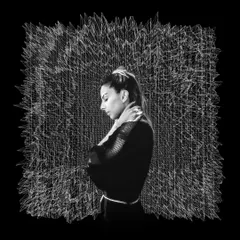 To celebrate the one-year anniversary of my track 'Hide', I invited some of my favorite artists to create a remix album. It features interpretations in dnb, breaks, techno, and more.