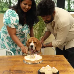 A sweet beagle getting some help from his parents to cut his birthday cake. We offer a variety of custom, pet-safe cakes and cupcakes for your private party.