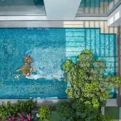 An aerial view of a pool, with a small tree and sculptural elements at its edge. The vibrant blue of the water contrasts beautifully with the surrounding greenery, creating a stunning visual from above.