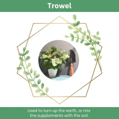 The trowel is an indispensable tool for any gardener. Its pointed blade is perfect for digging small holes for planting, turning over soil, and mixing in compost or other supplements to nourish your plants.