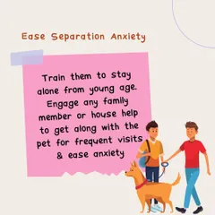 This graphic gives tips on easing separation anxiety by training your dog to be alone from a young age. This is a crucial skill, especially for working pet parents.