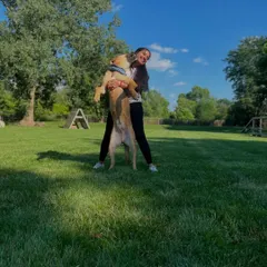 A moment of pure joy with my student dog, Doug, during my certification in the USA. He was my home away from home.