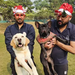Merry Christmas from our family to yours. We love celebrating holidays with our furry guests, complete with festive hats and lots of treats.