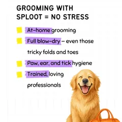 No stress, just a happy, clean dog. Our at-home grooming includes a full blow-dry to get into those tricky folds, plus thorough paw, ear, and tick hygiene checks. It’s all done by our trained, loving professionals who make sure your dog is comfortable from start to finish.