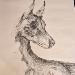 A finished student piece of a Doberman, showcasing strong command of line and shadow. Our animal drawing lessons help you understand anatomy and texture to bring your favorite creatures to life on paper.
