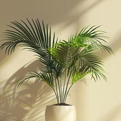 The classic Areca Palm plant, now in a zero-maintenance artificial form. Its elegant fronds add a touch of tropical sophistication to any room, and it will look fresh and green all year round.