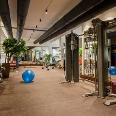 This angle shows the open layout of the gym floor, with exposed ceiling ducts for an industrial touch. Potted trees add a natural element, making the space feel less like a basement and more like a wellness retreat.