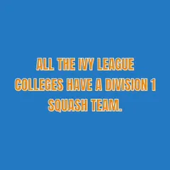 A key fact for aspiring student-athletes: all Ivy League colleges have a Division 1 squash team. We actively guide our players to leverage this opportunity, turning their passion for squash into a ticket to a world-class education.