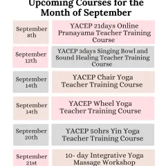 More opportunities to deepen your practice in September, including courses in Pranayama, Sound Healing, Chair Yoga, and Yin Yoga.