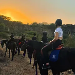 This is what our Aravalli Horseback Safari is all about. Riding into the sunset with friends, surrounded by the raw, stunning beauty of the hills. It's an adventure that feels a world away, yet is just a short drive from Gurgaon.