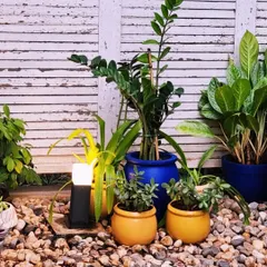 We used a mix of colorful pots and a bed of smooth pebbles to create this charming plant arrangement. The solar powered lamp adds a touch of evening ambiance to the setting.