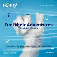 Fuel your pet's adventures with our premium food options. This energetic dog represents the vitality and health that comes from a diet rich in high-quality ingredients and essential nutrients.