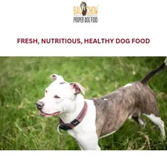 This is the picture of health. A strong posture, a shiny coat, and bright eyes. My fresh, nutritious dog food provides the building blocks for your dog to look and feel their absolute best.