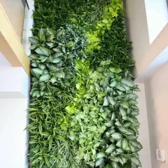 This is the power of a living wall. We designed and installed this floor-to-ceiling vertical garden in a corporate lobby, turning a plain wall into a breathtaking natural feature that improves air quality and makes a stunning first impression.