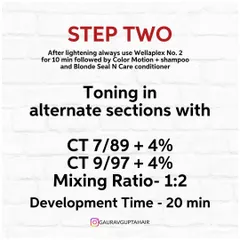 Step Two is the toning process. I used two different Color Touch formulas in alternate sections to create this natural, sandy blend.