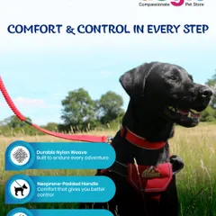 This Ancol Extreme Running Lead offers comfort and control in every step. It has a durable nylon weave, a neoprene-padded handle for better control, and reflective piping to keep you visible on night walks.