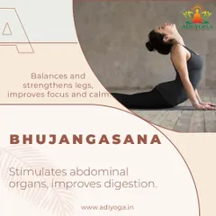 Bhujangasana, or Cobra Pose, is excellent for stimulating abdominal organs and improving digestion. It also strengthens the spine and improves focus, which are beneficial for overall diabetes management.
