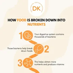Ever wonder how food is broken down into nutrients? It's all thanks to the thousands of bacteria in your digestive system that help you obtain vitamins and energy from your food.