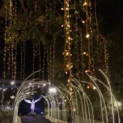 A modern and magical entrance tunnel made of illuminated arches. This creates a futuristic and glamorous pathway for the couple and their guests, perfect for a Sangeet or reception.