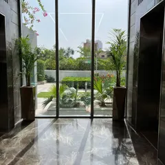 We create elegant and understated green accents for corporate spaces. Here, two tall Areca Palms in sophisticated planters frame a large window, adding a touch of nature to the building's modern architecture.
