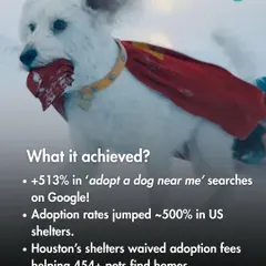 The movie 'Superman' and his dog Krypto sparked a massive increase in 'adopt a dog' searches and adoption rates in the US. This graphic shows the powerful, positive impact that pop culture can have on animal rescue.