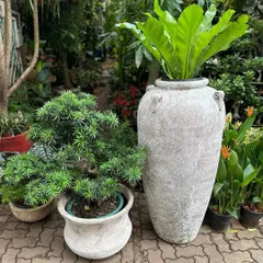 Bigger is often better for making an impact. I stock statement planters up to 5 feet tall, like this large rustic urn. Their unique finish works beautifully for both outdoor and indoor settings to house large plants like this Bird's Nest Fern.