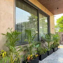 Our fibre planter boxes are a perfect fit for walkways and driveways. Here, they are filled with a colorful mix of Crotons and palms, adding life to the space next to the large windows.