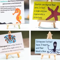 Learning can be part of the fun! For this ocean-themed party, I created these fun fact cards about sea creatures like seahorses and octopuses to spark curiosity and add an educational twist to the celebration.