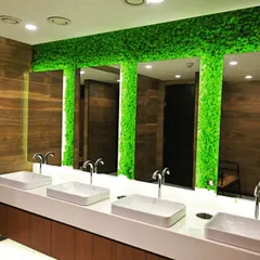 Biophilic design integrated into the restroom at Akamai Technologies. We used preserved reindeer moss to frame the mirrors, transforming a functional space into a refreshing environment without requiring any sunlight or watering.