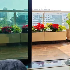 Adding festive color to a balcony with bright red Poinsettia plants. These planters are perfect for adding seasonal charm to any apartment space.