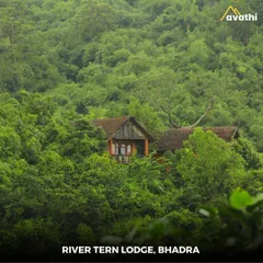A lone cottage peeking out from the dense forests of the Bhadra Tiger Reserve. This is the River Tern Lodge, where you are truly immersed in nature.