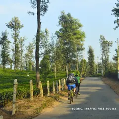 A glimpse of the scenic, traffic-free routes you'll experience on our South Coorg tour.