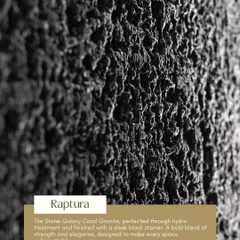 Our 'Raptura' texture on Stone Galaxy Coral Granite. This surface is perfected through a hydro treatment and finished with a sleek black stainer, creating a bold blend of strength and elegance.