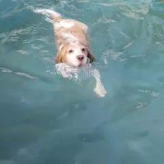A confident swimmer enjoying the water. We help even first-time swimmers get comfortable in the pool under careful supervision.